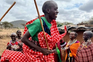 From Nairobi: Maasai Village Experience Day Tour