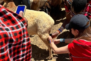 From Nairobi: Maasai Village Experience Day Tour