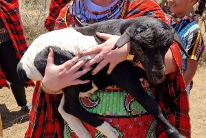 From Nairobi: Maasai Village Experience Day Tour