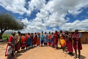 From Nairobi: Maasai Village Experience Day Tour