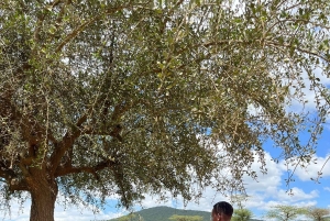 From Nairobi: Maasai Village Experience Day Tour