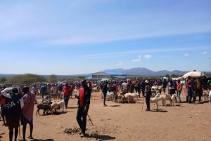 From Nairobi: Maasai Village Experience Day Tour
