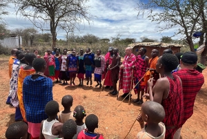 From Nairobi: Maasai Village Experience Day Tour