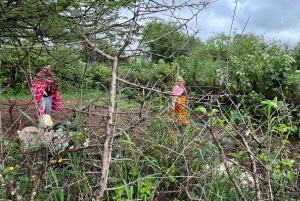 From Nairobi: Maasai Village Experience Day Tour