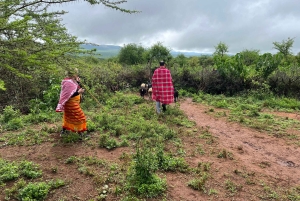 From Nairobi: Maasai Village Experience Day Tour