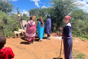 From Nairobi: Maasai Village Experience Day Tour