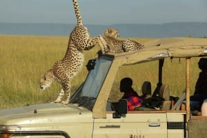 From Nairobi: Masai Mara 3-day Camping Safari by Jeep