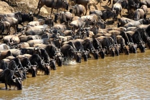 From Nairobi: Masai Mara 3-day Camping Safari by Jeep