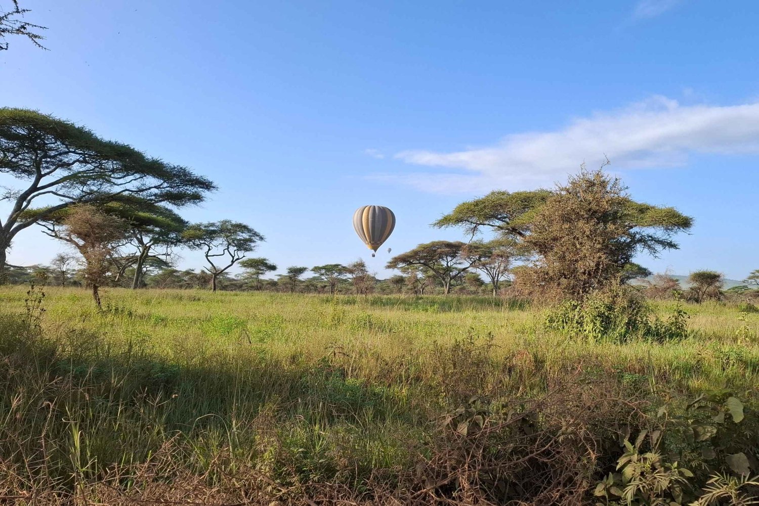 From Nairobi: Masai Mara 6-day Budget Safari