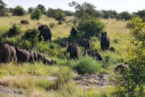 From Nairobi: Masai Mara 6-day Budget Safari