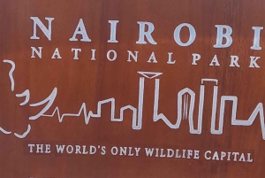 From Nairobi: Masai Mara National Reserve Safari