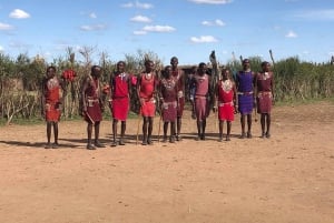 From Nairobi: Masai Tribe Village Visit