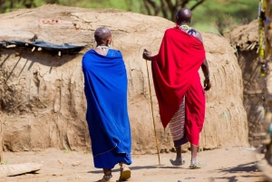 From Nairobi: Masai Tribe Village Visit