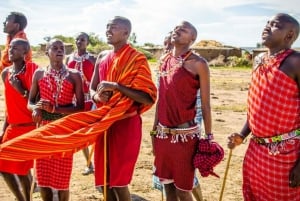 Da Nairobi :Visita al villaggio della tribù Masai