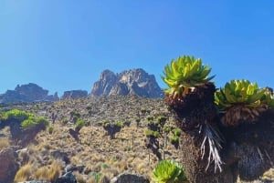 Från Nairobi: 4-dagars vandring på Mount Kenya