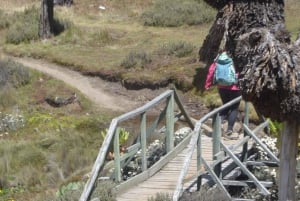 Från Nairobi: 4-dagars vandring på Mount Kenya