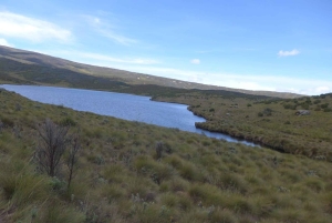 Depuis Nairobi : Trek de 4 jours au Mont Kenya