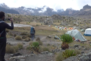 Depuis Nairobi : Trek de 4 jours au Mont Kenya