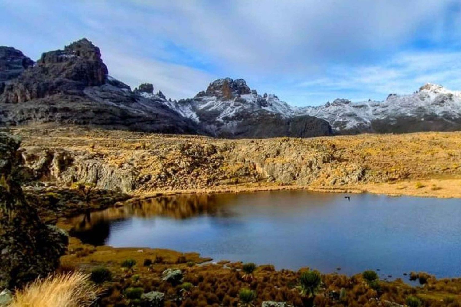 Fra Nairobi: Dagsvandring på Mount Kenya med transport