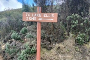 Fra Nairobi: Dagsvandring på Mount Kenya med transport