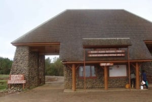 Fra Nairobi: Dagsvandring på Mount Kenya med transport