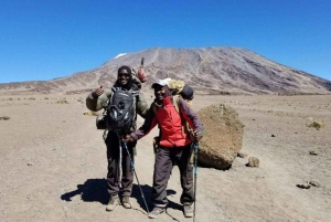 Fra Nairobi: Dagsvandring på Mount Kenya med transport
