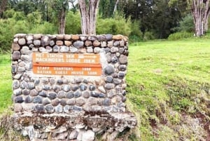 Fra Nairobi: Dagstur til Mount Kenya med transport