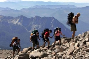 Fra Nairobi: Dagstur til Mount Kenya med transport