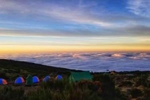 Fra Nairobi: Dagstur til Mount Kenya med transport