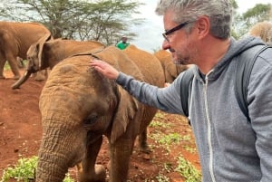 Nairobista: kansallispuisto, Baby Elephant & Giraffe Centre (vauvanorsu ja kirahvi)