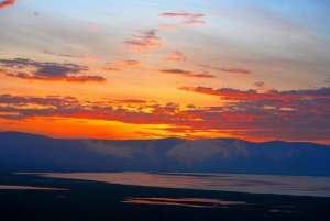 From Nairobi or Mombasa: Amboseli National Park 3-Day Tour