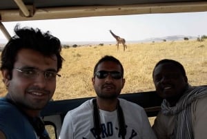 Desde Nairobi o Mombasa Excursión de 3 días al Parque Nacional Amboseli