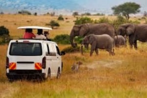Fra Nairobi eller Mombasa: Amboseli nasjonalpark 3-dagers tur