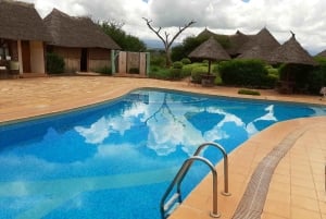 From Nairobi or Mombasa: Amboseli National Park 3 Day Tour