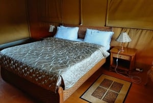 From Nairobi or Mombasa: Amboseli National Park 3 Day Tour