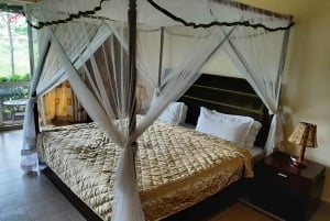 From Nairobi or Mombasa: Amboseli National Park 3 Day Tour