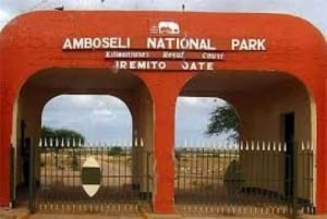 From Nairobi or Mombasa: Amboseli National Park 3 Day Tour