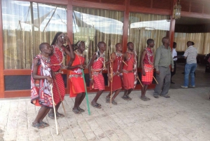 De Nairobi: Safari privé de 3 jours au Masai Mara