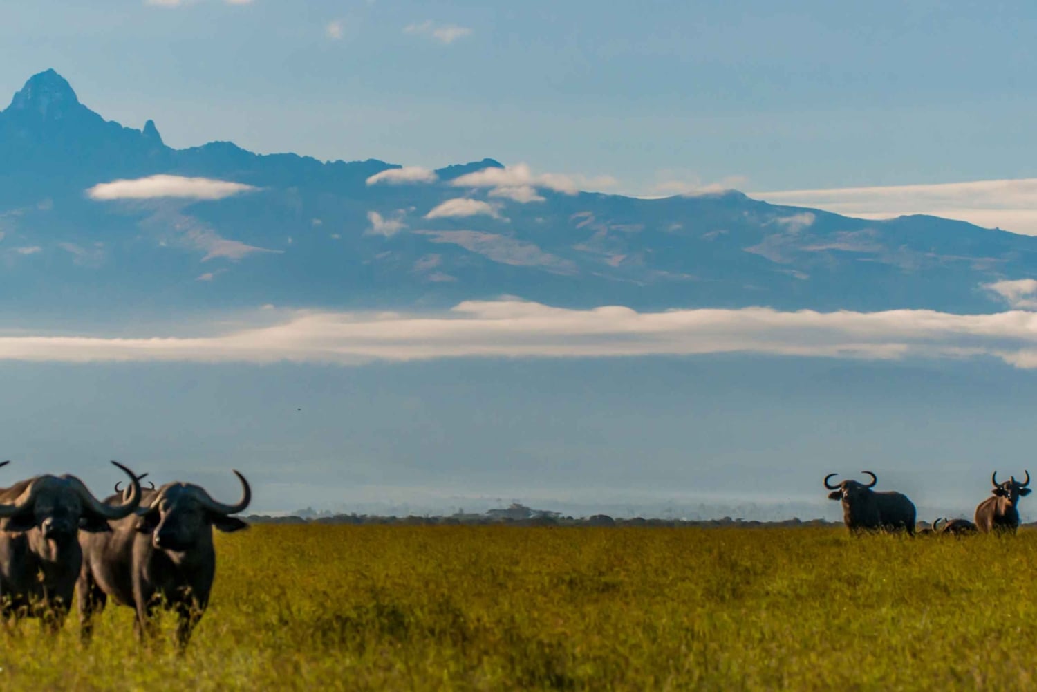 Fra Nairobi: Privat heldags vandretur på Mount Kenya