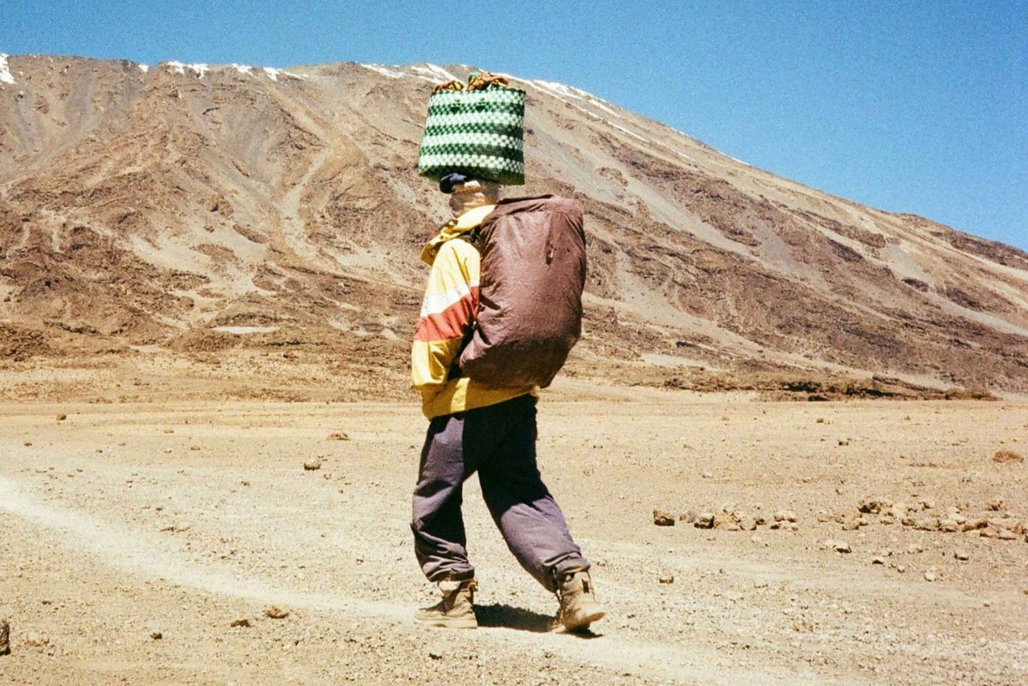 Fra Nairobi: Privat heldags vandretur på Mount Kenya