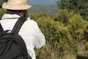 Fra Nairobi: Privat heldags vandretur på Mount Kenya