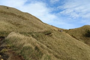 Fra Nairobi: Privat heldags vandretur på Mount Kenya