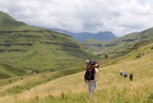 Fra Nairobi: Privat heldags vandretur på Mount Kenya