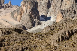 Fra Nairobi: Privat heldags vandretur på Mount Kenya
