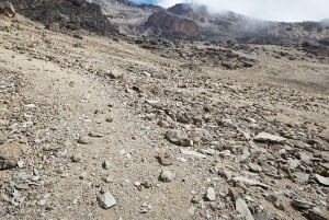 Fra Nairobi: Privat heldags vandretur på Mount Kenya