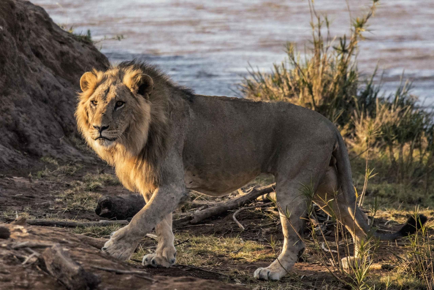 From Nairobi: Samburu National Reserve 3-Day Safari