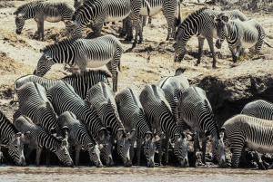 From Nairobi: Samburu National Reserve 3-Day Safari