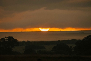 Vanuit Nairobi: Soroi Lions Bluff 3-daagse safari & accommodatie