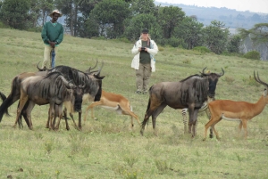Von Nairobi zum Naivasha-See Tagestour (Besuch des Hells Gate)