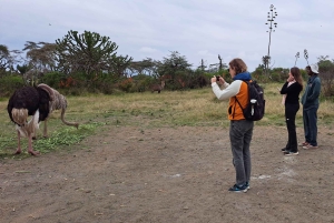 Von Nairobi zum Naivasha-See Tagestour (Besuch des Hells Gate)